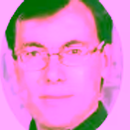 Professor Valter Mariani Primiani from Università Politecnica delle Marche